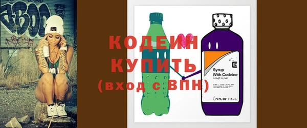 индика Гусиноозёрск