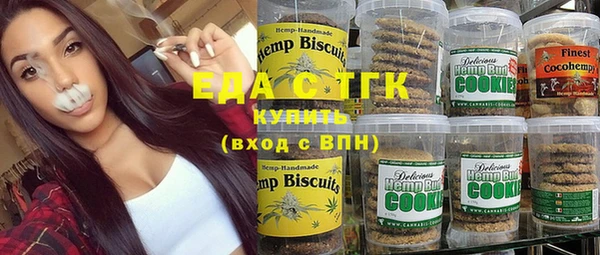 индика Гусиноозёрск