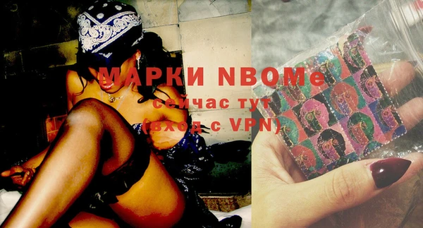 индика Гусиноозёрск