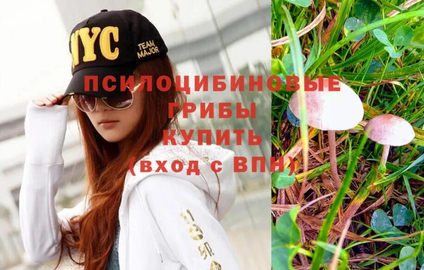 индика Гусиноозёрск
