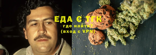 индика Гусиноозёрск