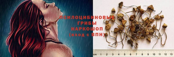 прущая мука Горнозаводск